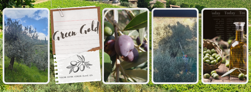 Green Gold &ndash; Tuscan Extra Virgin Olive Oil